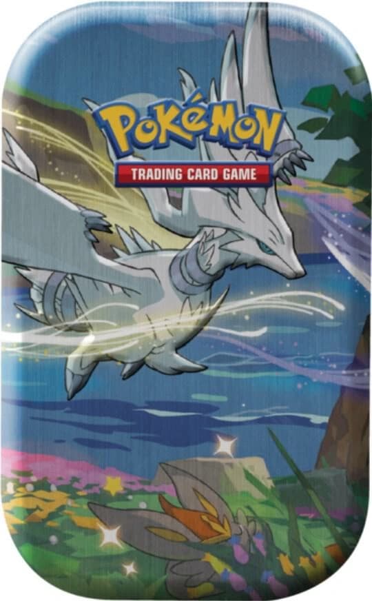 Shining Fates Mini Tin - Kyogre